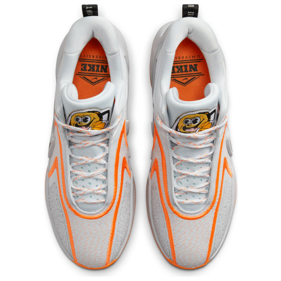 Nike Cosmic Unity 2